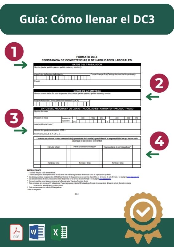 Qué incluye y como llenar constancia DC3 STPS