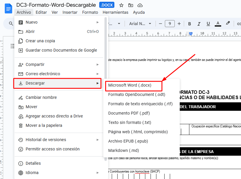 Paso 3 para descargar formato DC3 en Word