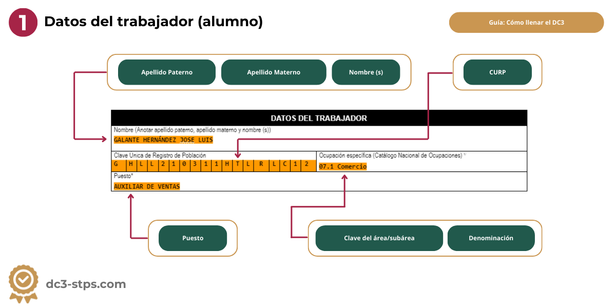 Llenado de información del trabajador dentro del formato DC3 STPS