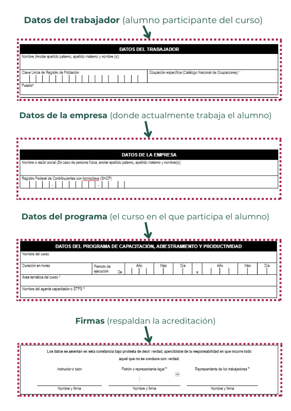 Datos de la plantilla DC3, distribución de información en el formato dc3 stps 2023-2024.