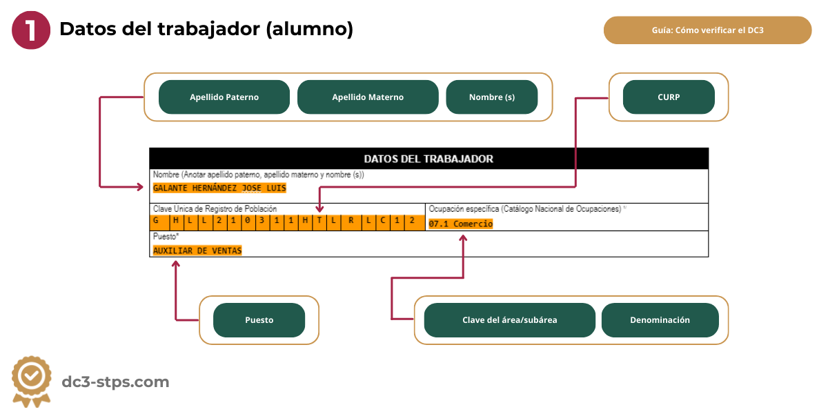 Verificar que los datos del trabajador en el formato DC-3